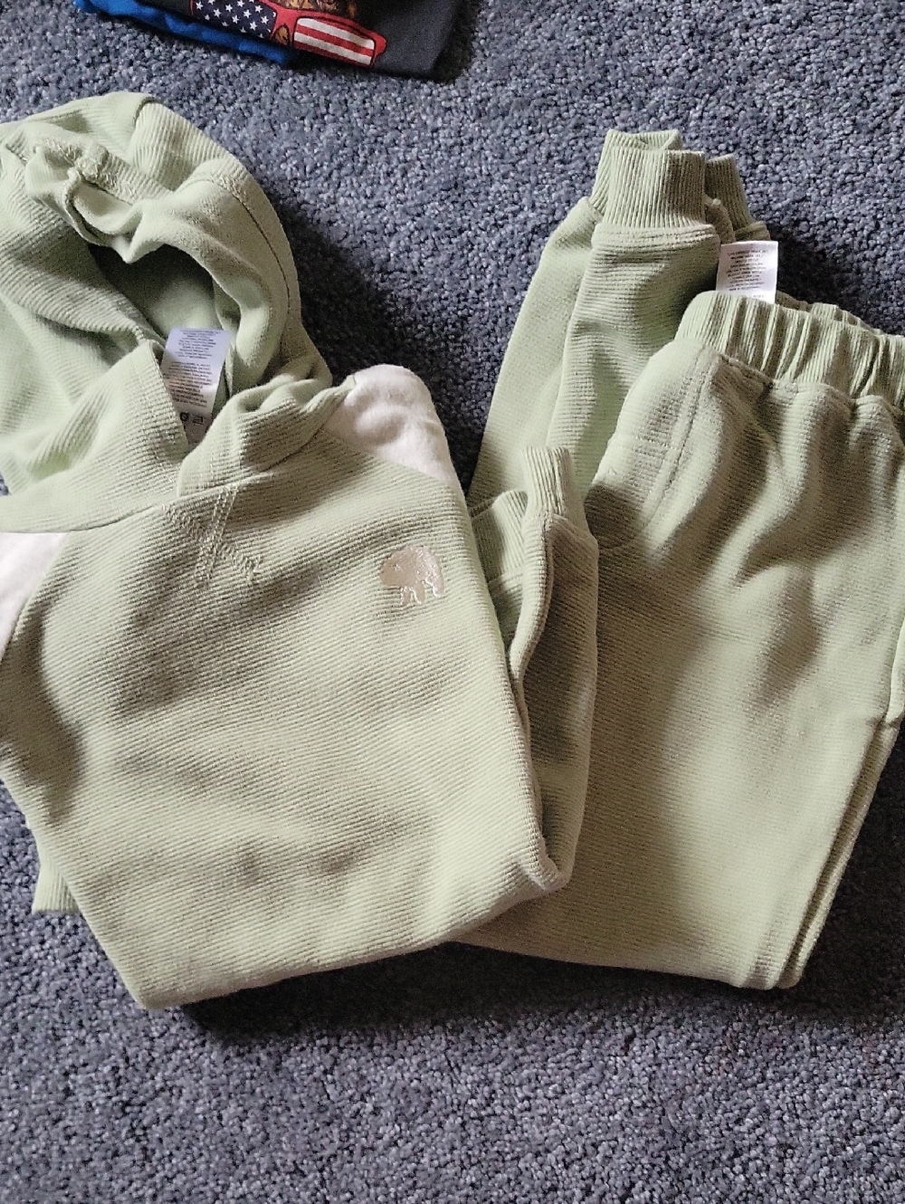 Kids Light Green Hooded Sweatshirt and Jogger Set - Brand Unspecified
